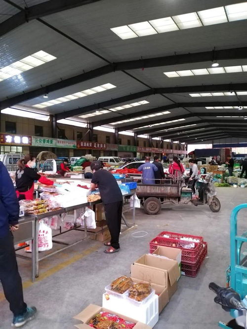 中貿農產品綜合批發市場 從基地到市場，蔬菜區一站式采購與每日參考價解析