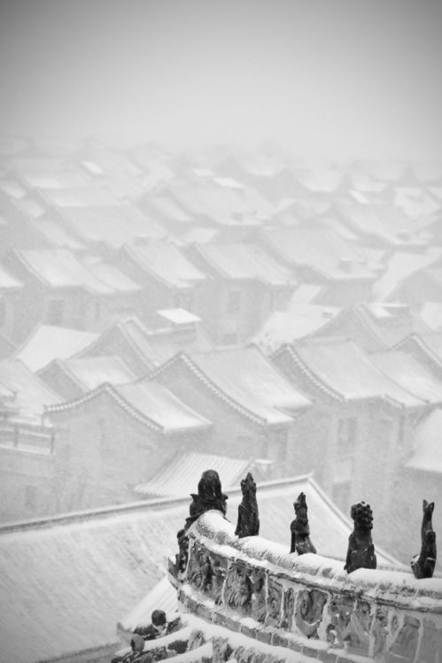 攝影名家李超作品欣賞 風(fēng)雪行中的文藝創(chuàng)作
